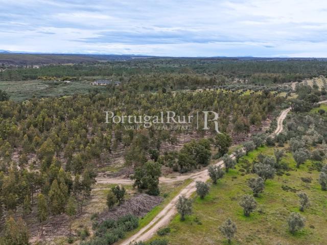 Terreno venda em Gavião, Portalegre