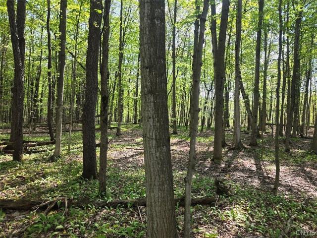 Land for sale in Bliss, New York
