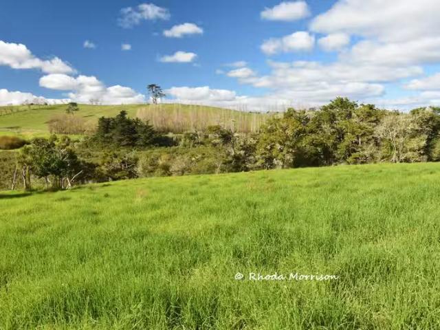 House for sale in Matakohe, Northland
