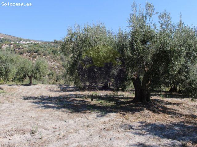 Casa en venta en Comarca de la Alpujarra Granadina, Andalucía