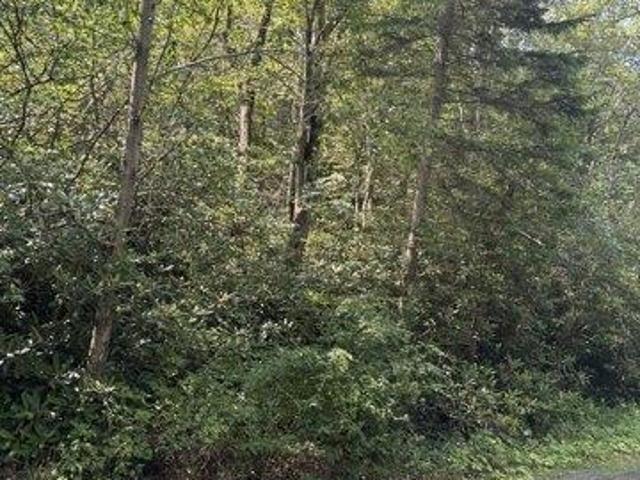 Land for sale in Blakeslee, Pennsylvania