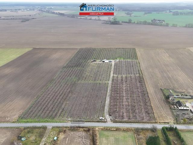 Grunt na sprzedaż w Podanin, Wielkopolskie