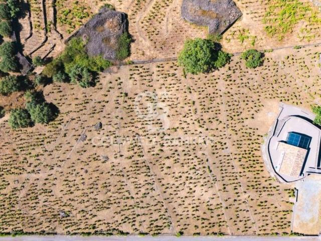 Rustico in vendita a Castiglione Di Sicilia, Sicilia