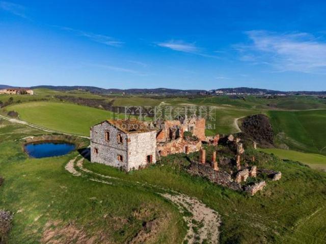 Terreno in vendita a Asciano, Toscana