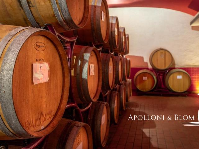 Rustico in vendita a Abbadia Di Montepulciano, Toscana