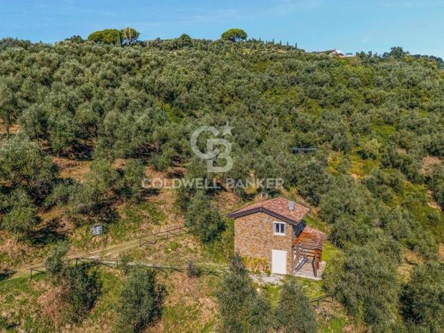 Rustico in vendita a Massarosa, Toscana