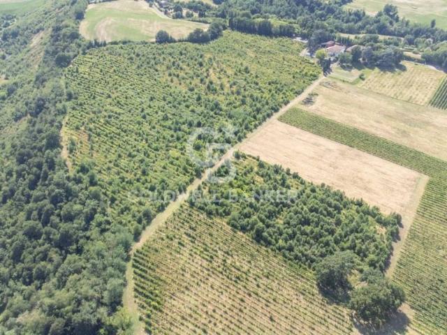 Rustico in vendita a Unione dei comuni Valli del Reno, Lavino e Samoggia, Zola Predosa