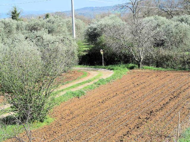 Rustico in vendita a Ravi, Gavorrano