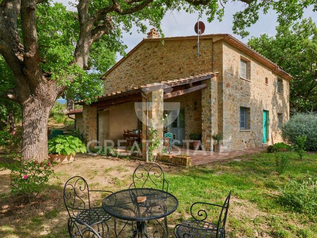 Casa in vendita a Unione dei Comuni Montani Amiata Grossetana, Seggiano