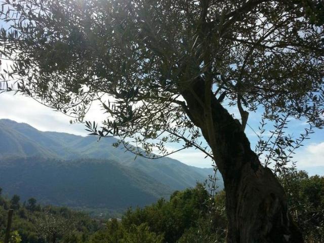 Rustico in vendita a Gallinaro, Lazio