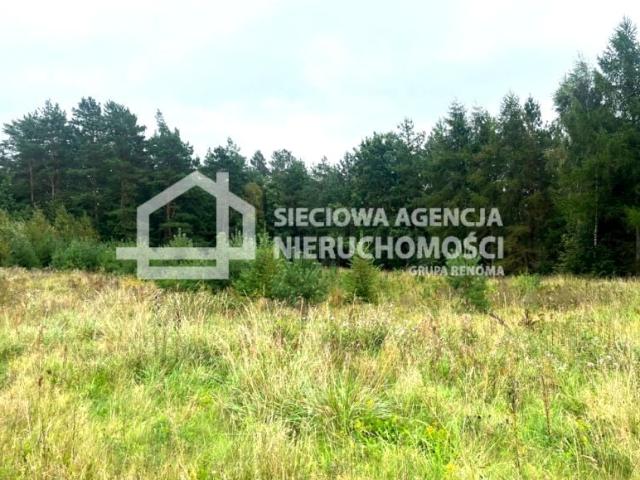 Grunt na sprzedaż w Przodkowo, Pomorskie