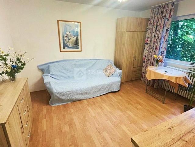 Garsonieră închirieri în Mircea Cel Batran, Iași