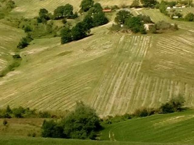 Terreno in vendita a Unione di Comuni della Romagna Forlivese, Bertinoro