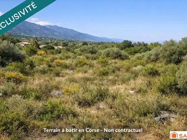 Terrain vente à Corte, Poggio-mezzana