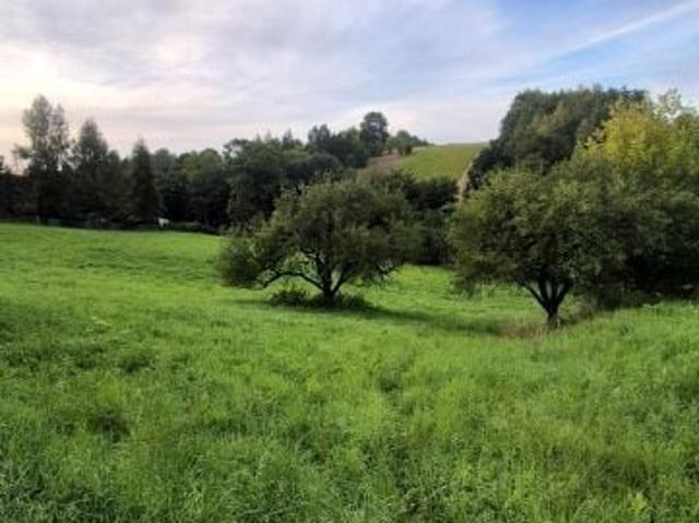 Grunt na sprzedaż w Garliczka, Małopolskie