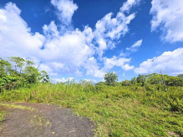 Land for sale in Pahoa, Hawaiʻi County