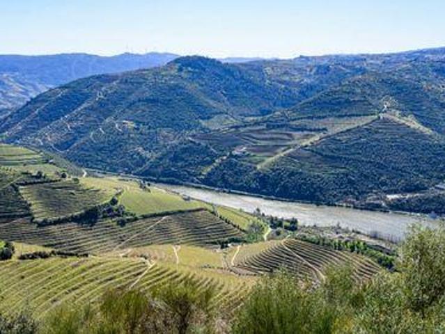 Loja venda em Peso Da Régua, Vila Real