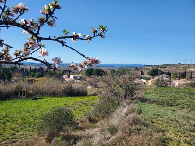 Terrain vente à Béziers, Poilhes