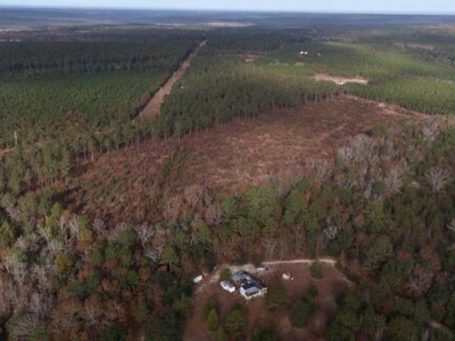 Land for sale in Wagener