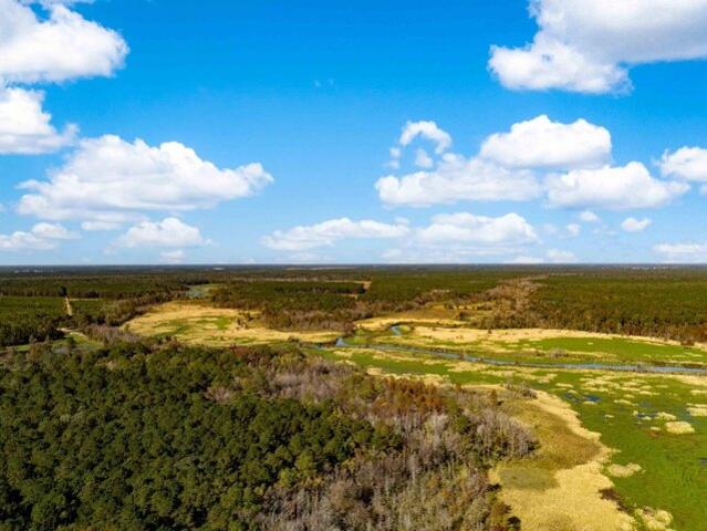 Land for sale in Moncks Corner Land for sale in Moncks Corner
