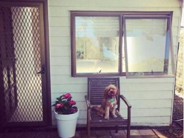 Apartment for rent in Point England, Oroua County