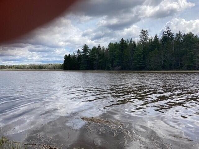 Land for sale in Columbia Falls, Maine