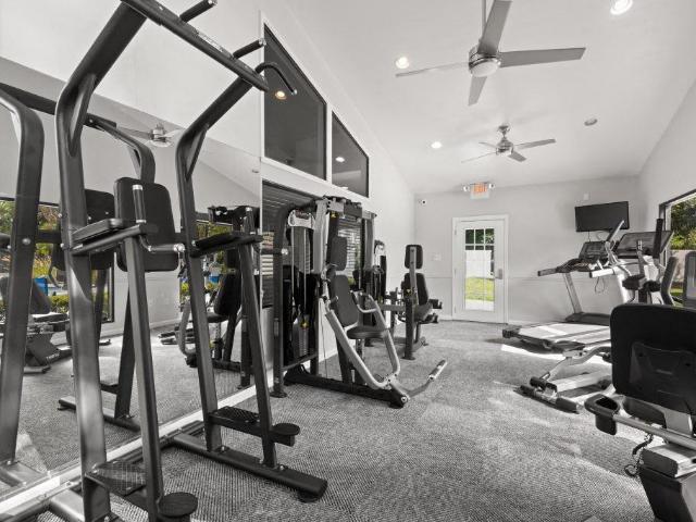 Apartment for rent in Tampa, Florida