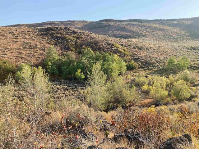 Property for sale in Bellevue, Idaho