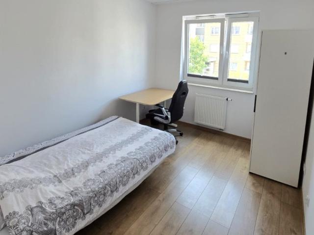 Mieszkanie do wynajęcia w Wrocław, Dolnośląskie