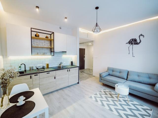 Pokój do wynajęcia w Jeżyce, Poznań