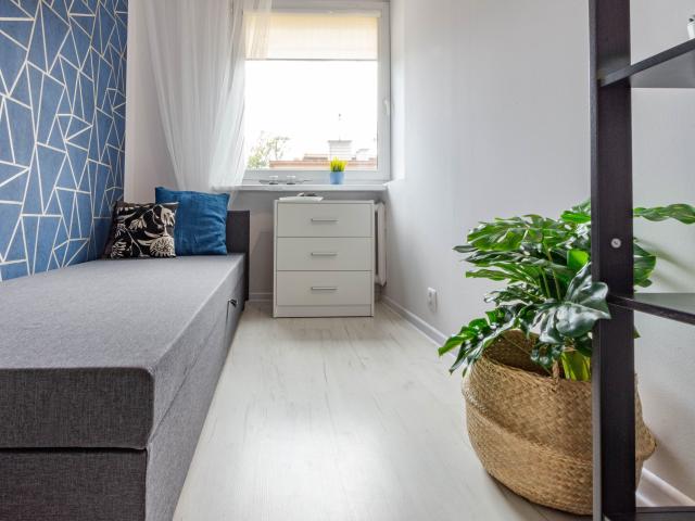 Pokój do wynajęcia w Katowice, Śląskie