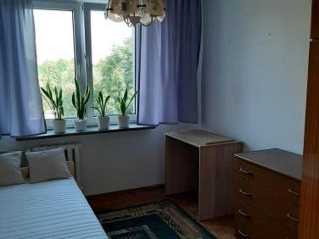 Pokój do wynajęcia w Rzeszów, Podkarpackie