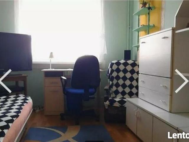 Room do wynajęcia w Bydgoszcz