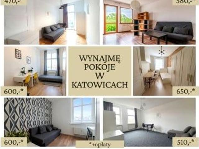 Pokój do wynajęcia w Katowice, Śląskie