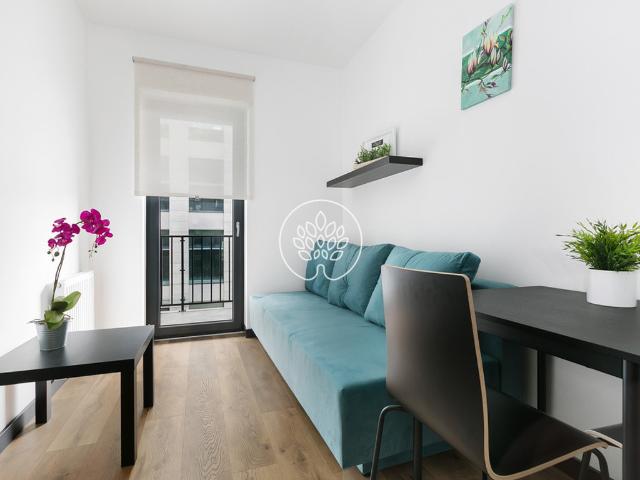 Room do wynajęcia w Bydgoszcz