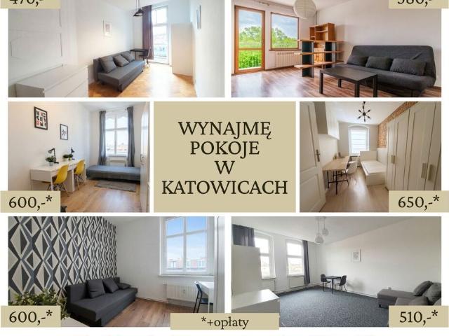 Pokój do wynajęcia w Katowice, Śląskie