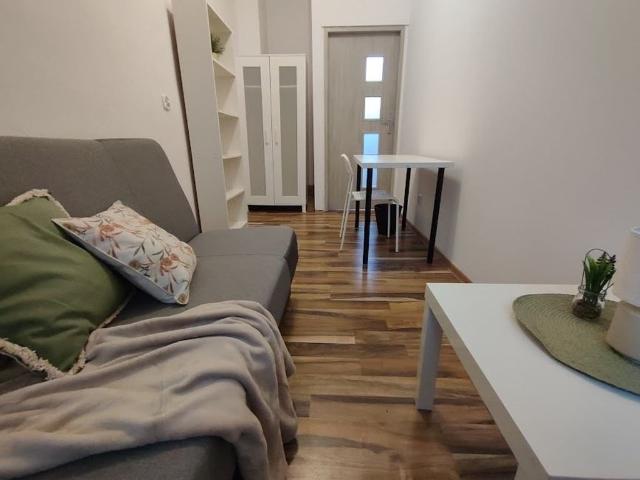 Pokój do wynajęcia w Katowice, Śląskie