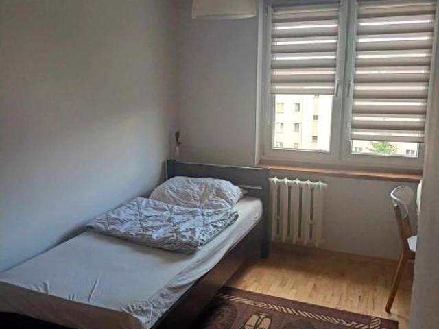 Pokój do wynajęcia w Rzeszów, Podkarpackie