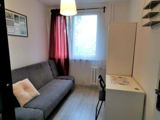 Pokój do wynajęcia w Przedmieście Świdnickie, Wrocław