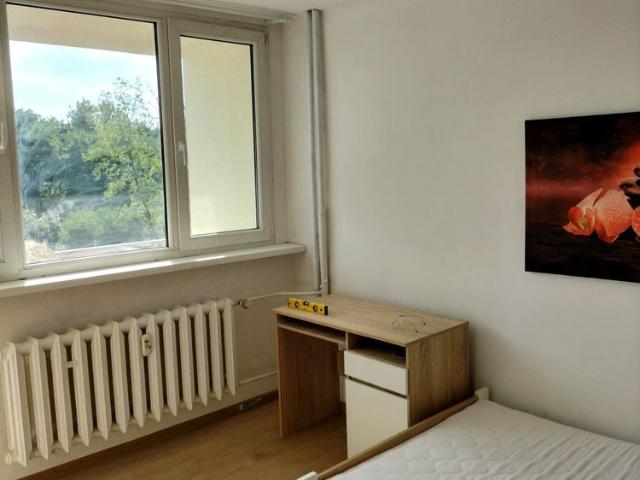 Pokój do wynajęcia w Katowice, Śląskie