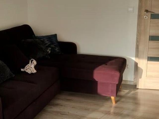 Pokój do wynajęcia w Wrocław, Dolnośląskie
