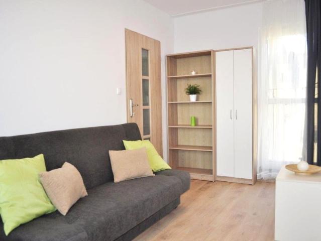 Pokój do wynajęcia w Chorzów, Śląskie