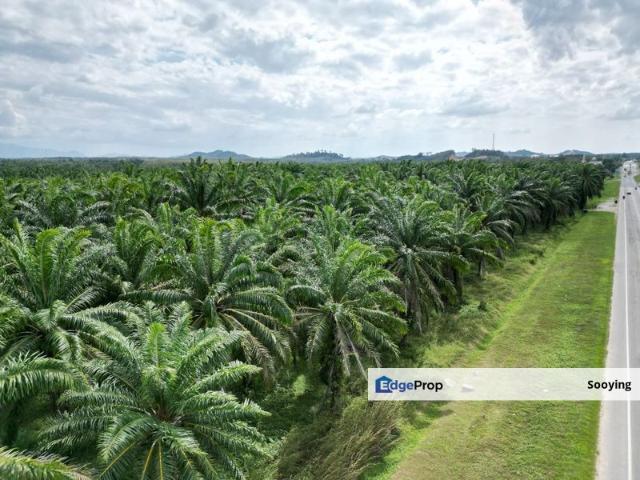 Shop for sale in Pokok Sena, Kedah