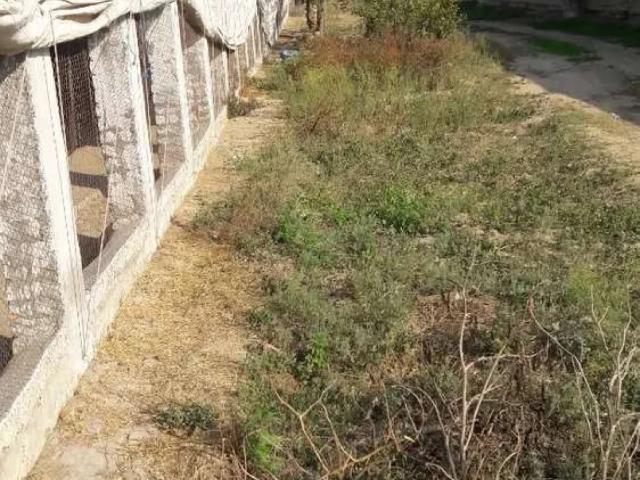 Land for sale in Chakwal, Islamabad Capital Territory