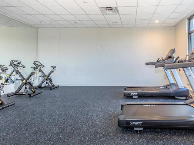 Apartment for rent in Bellevue, Washington