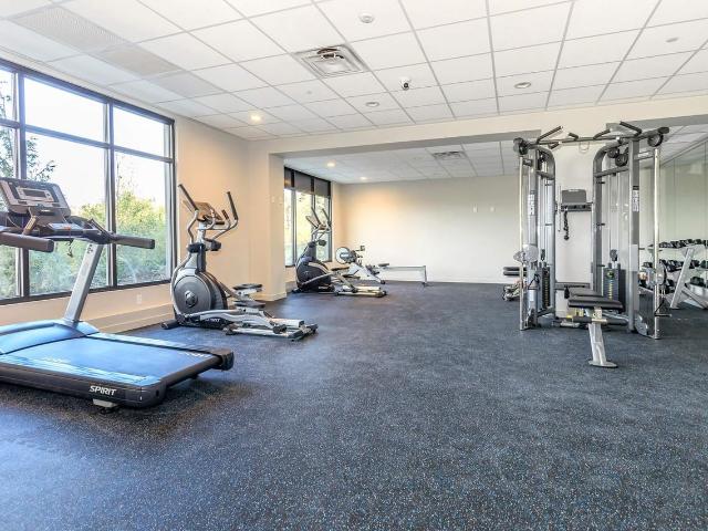 Apartment for rent in Factoria, Bellevue