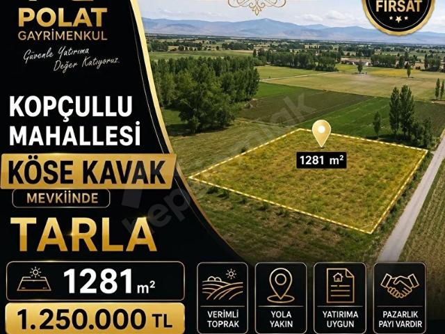 Develi, Kayseri içerisinde satılık Arsa