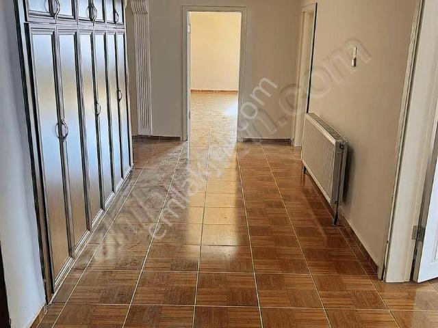 Batman Merkez, Batman içerisinde kiralık mülk