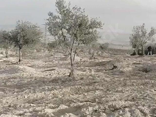 Dümbüllü, Polateli içerisinde satılık mülk