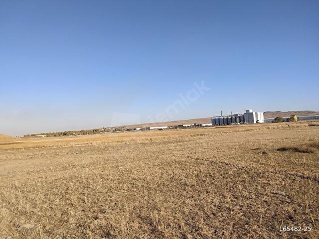 Polatli, Ankara içerisinde satılık Arsa
